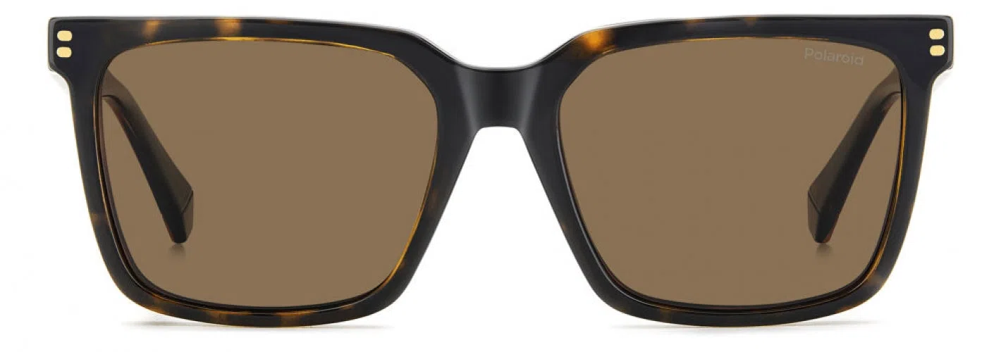Polaroid Core PLDD556 Eyeglasses - view 8